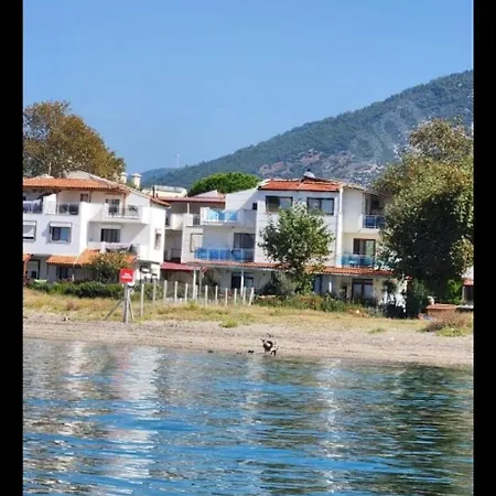 Koçak 5d *